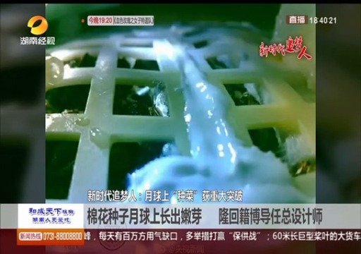 饶河天气评测3